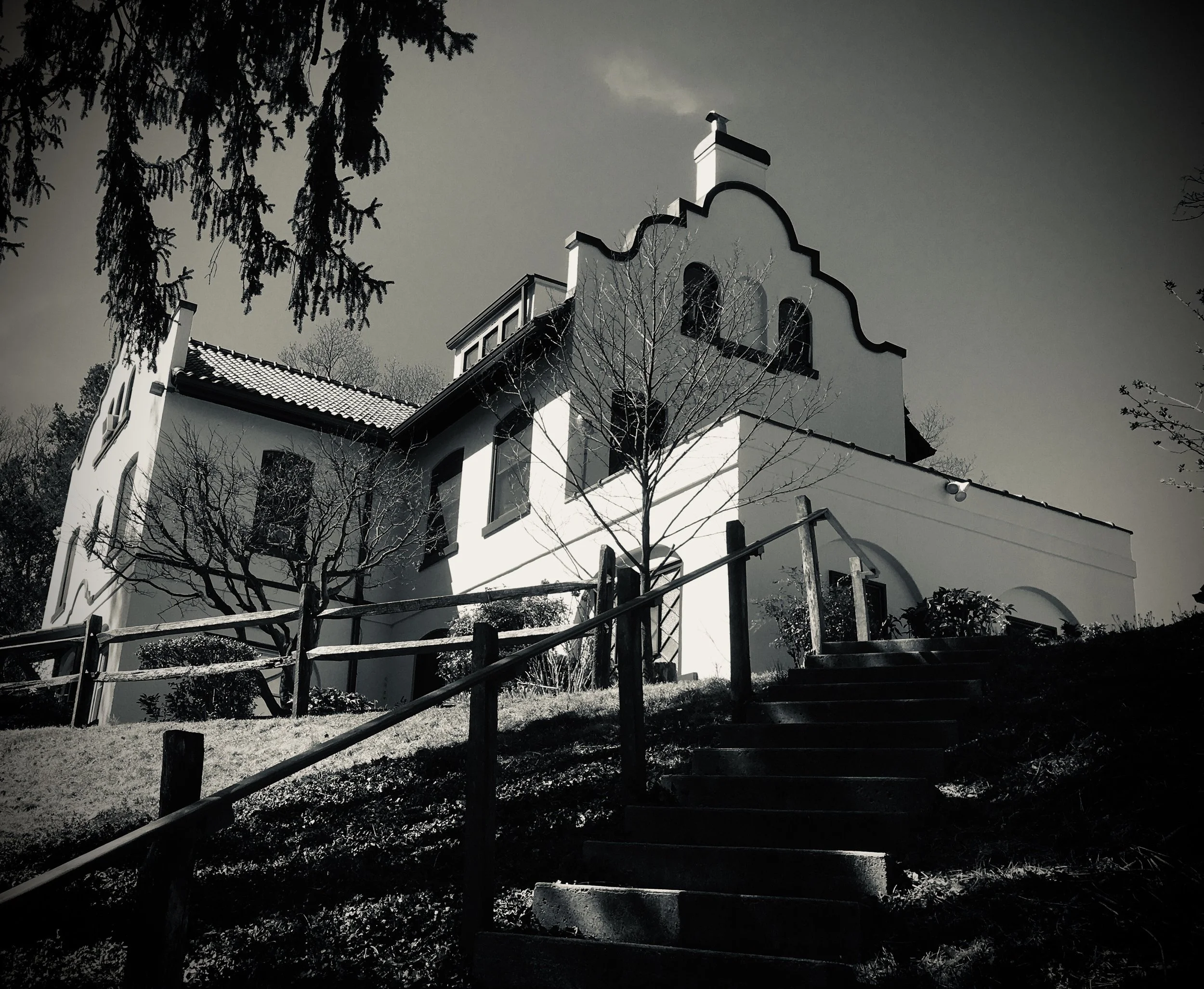 'Plague Diary: How Often This Thought Occurs' and Other Poems, by M. A. Schaffner 