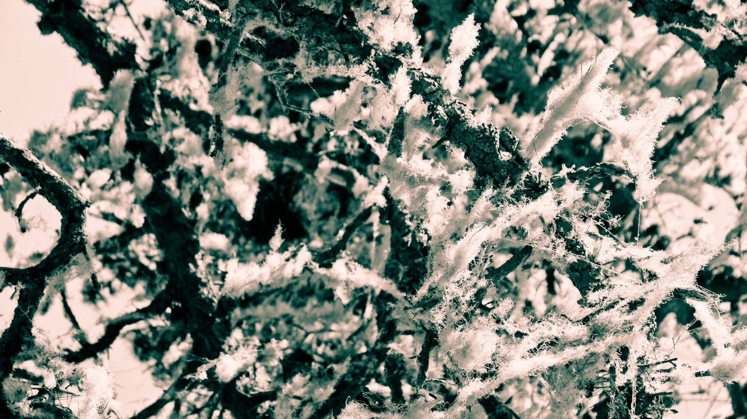 'Burial Waters' and 'A Beggar at Heaven's Door', by Sakina Qazi