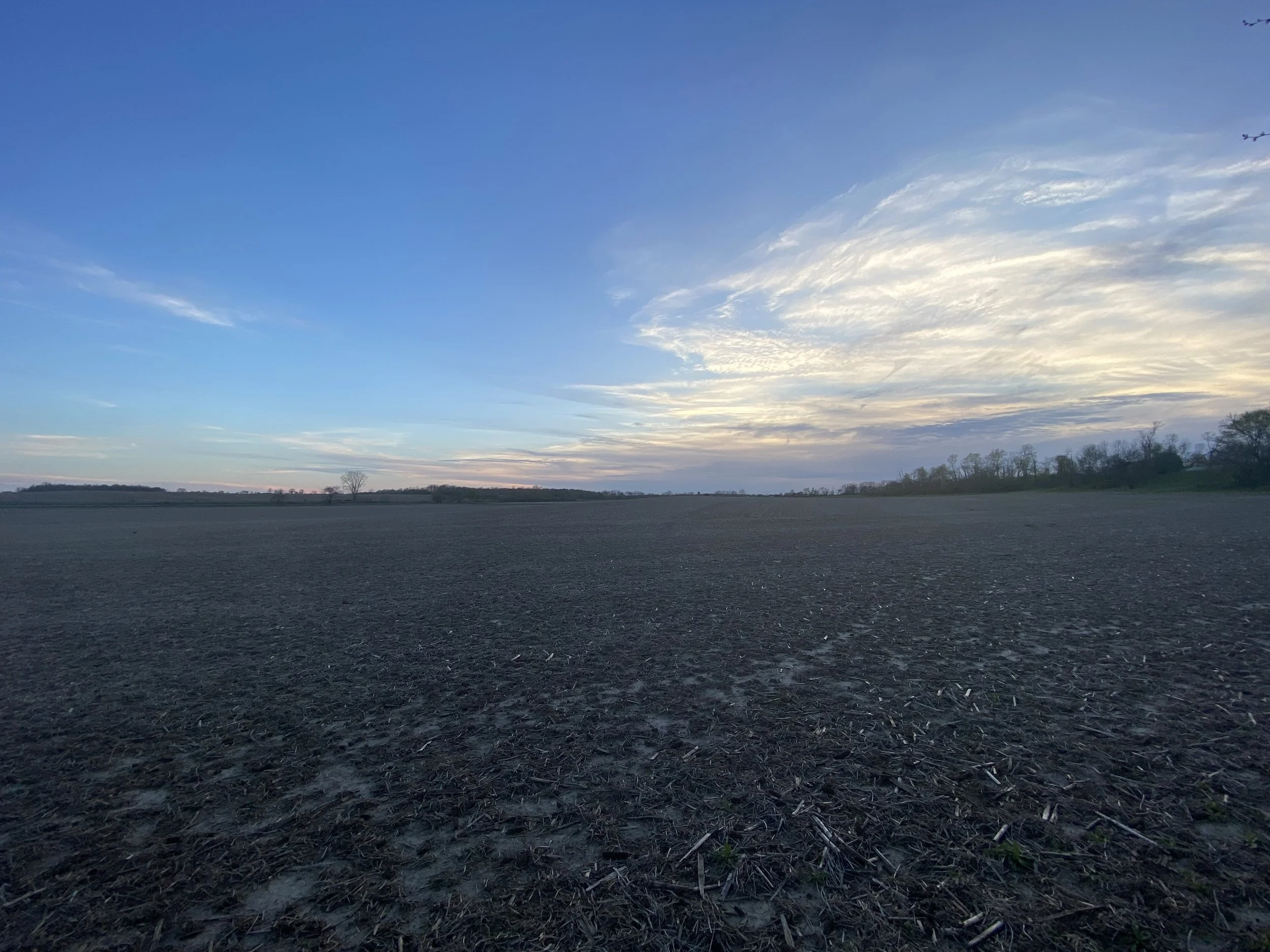 'The Fallow Field', by Michael Templeton