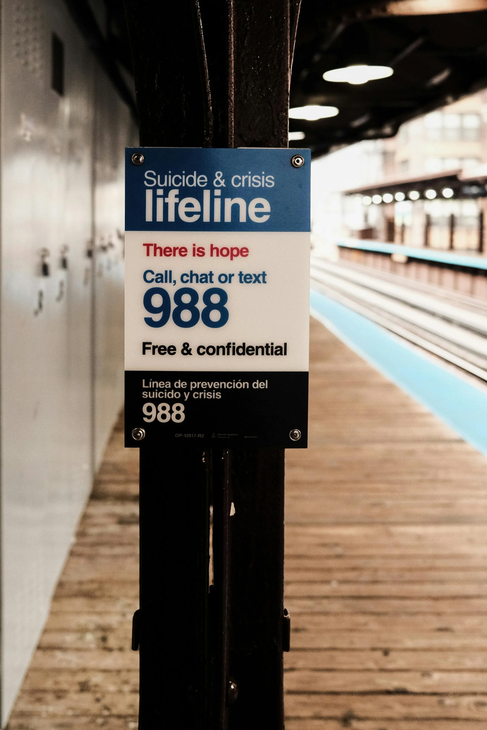'Reflections on a Prolonged Episode of Suicidality', by D.M. Rice