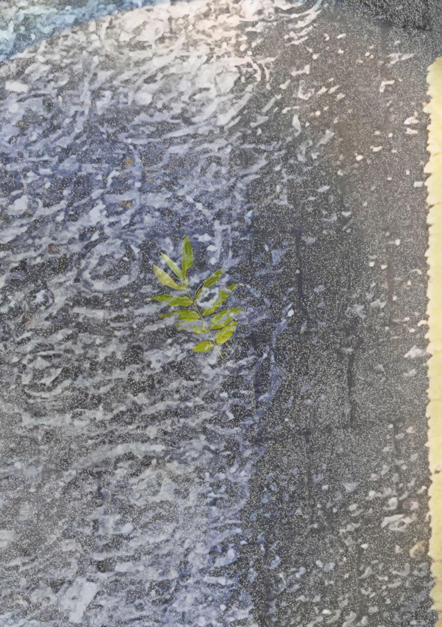 'Intentionally Left Blank (Sin Título)', by JUNOS