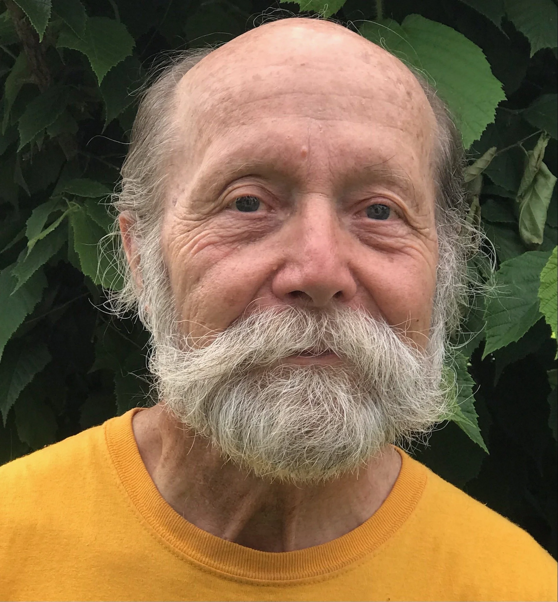 'Cervantes' Dream', by Merrill Hatlen