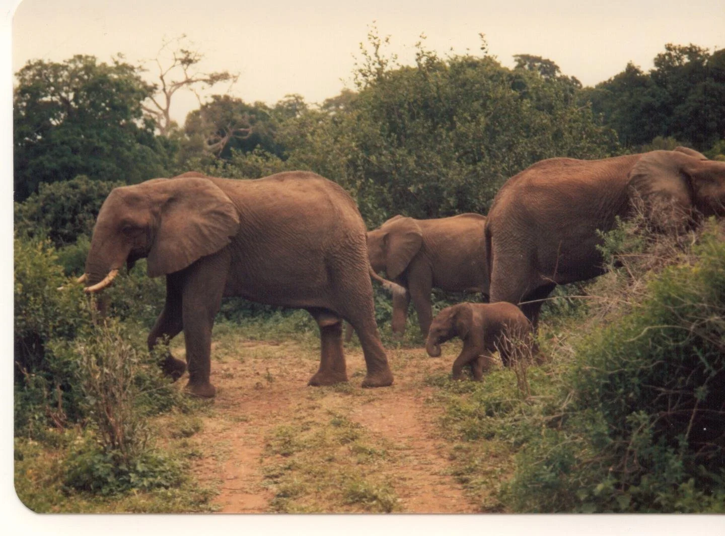 'A Boring Life', by Barbara Borst