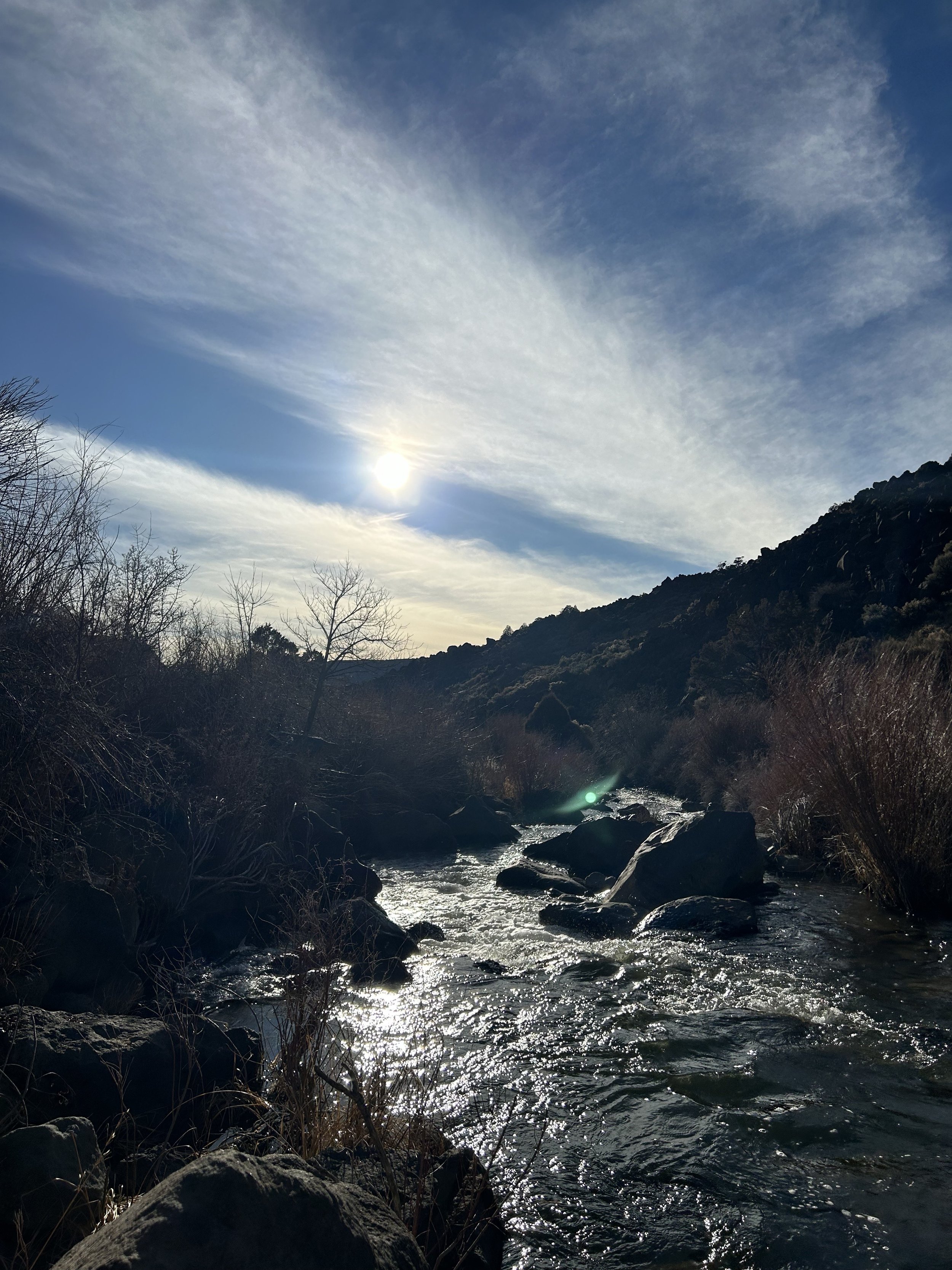 'Antigone Again', by Morris McLennan