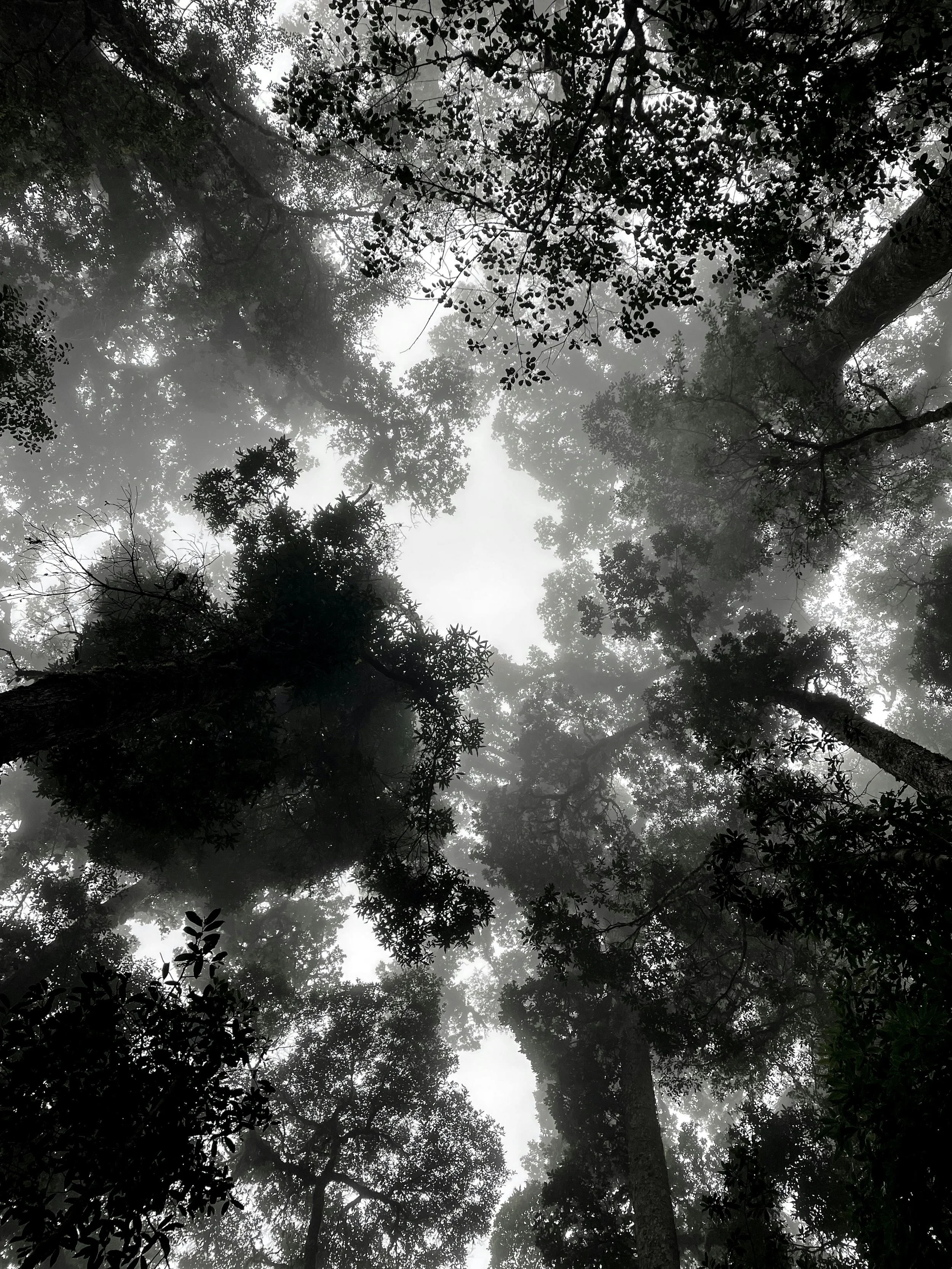 'Just Married', by Megan Wildhood