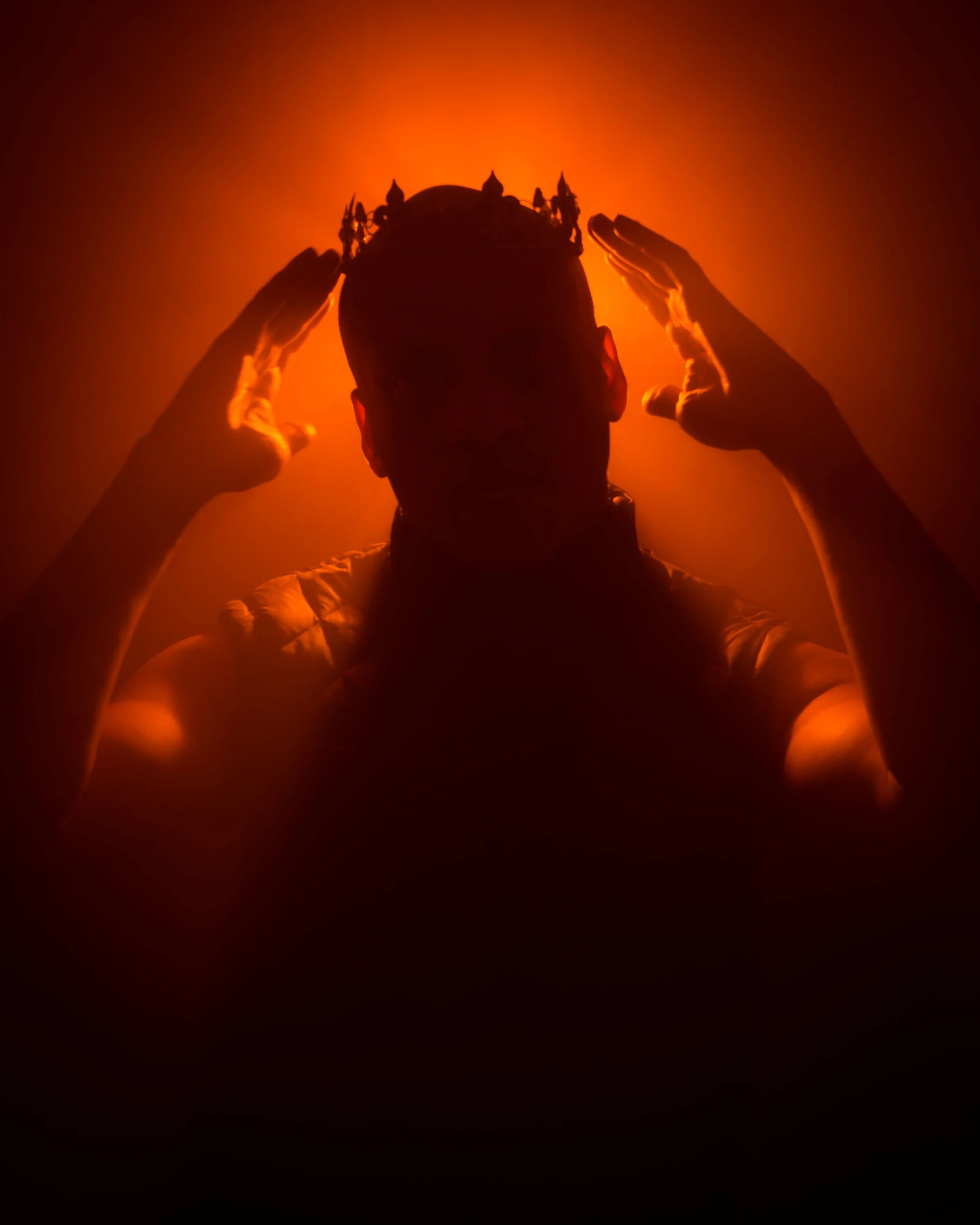 'The Prince', by Steve McBrearty