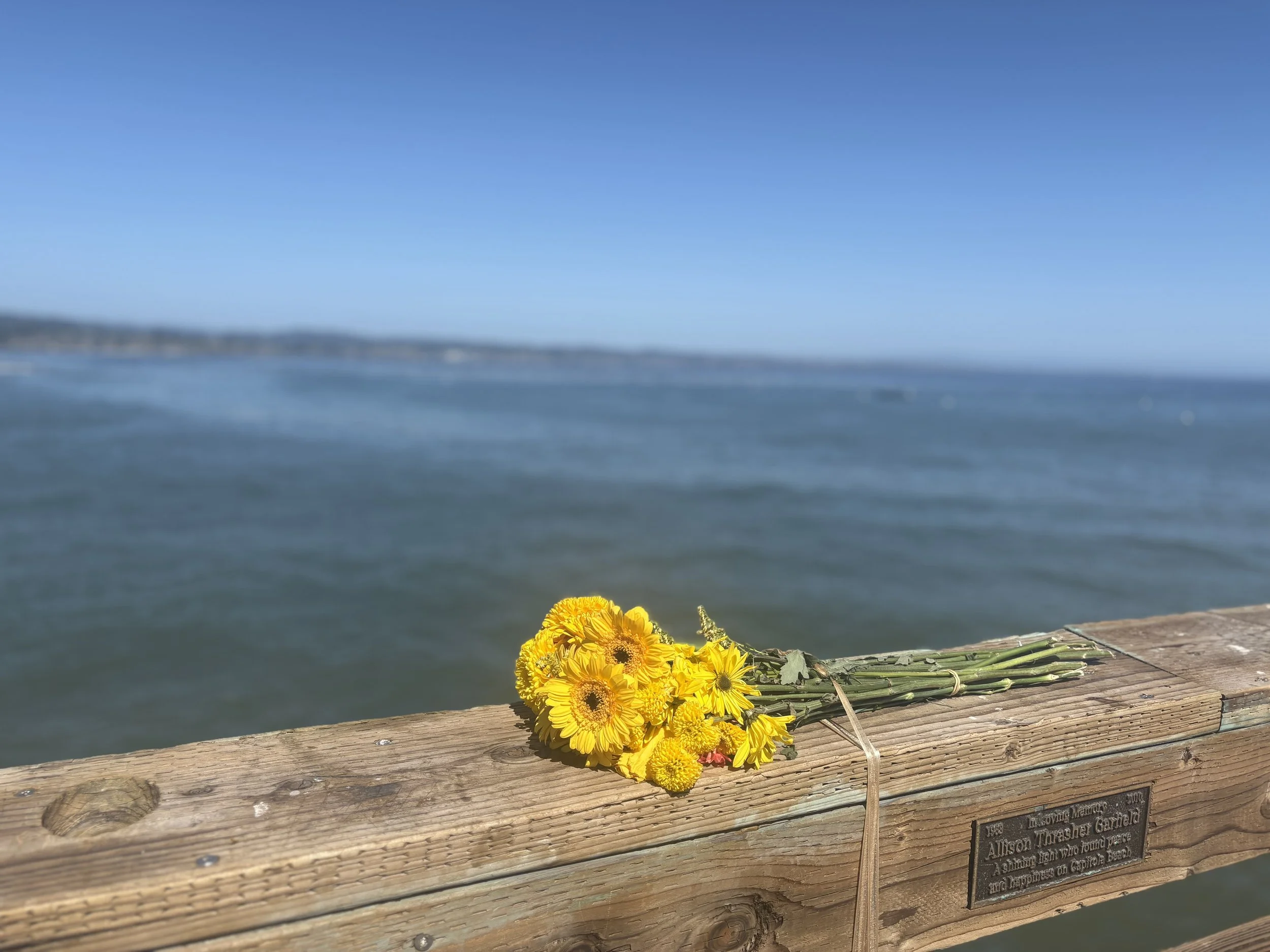 3 Poems by Shivani Gupta