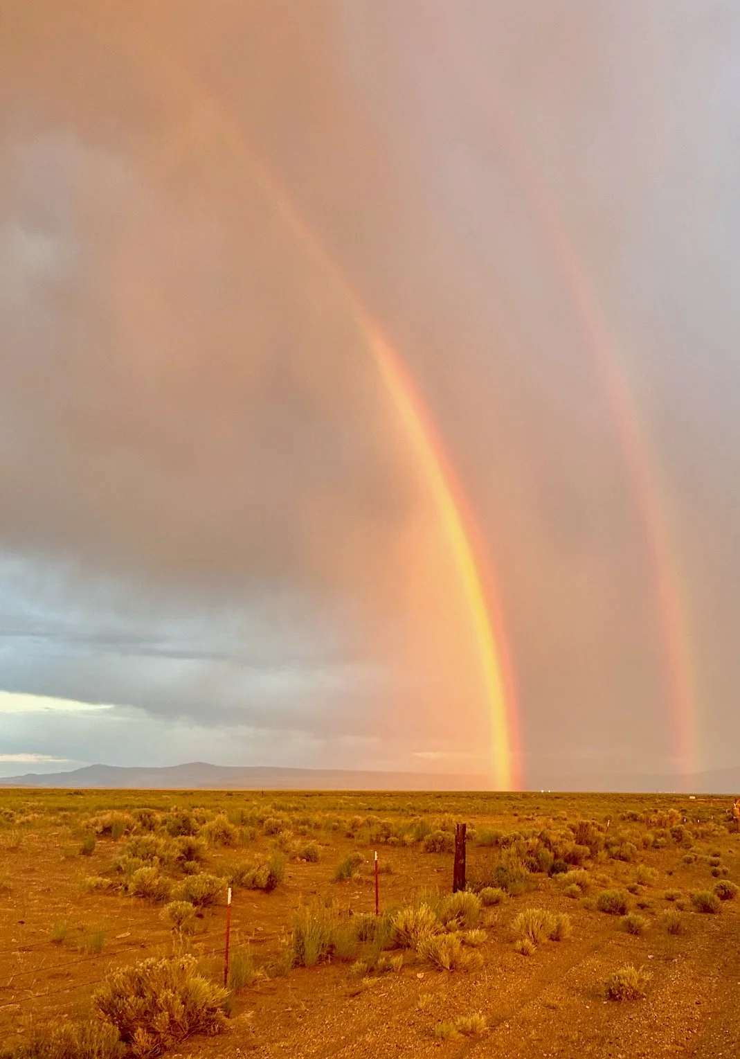 'Dying Light' and 'Rainbow Baby', by Rae McMinn Kaigler