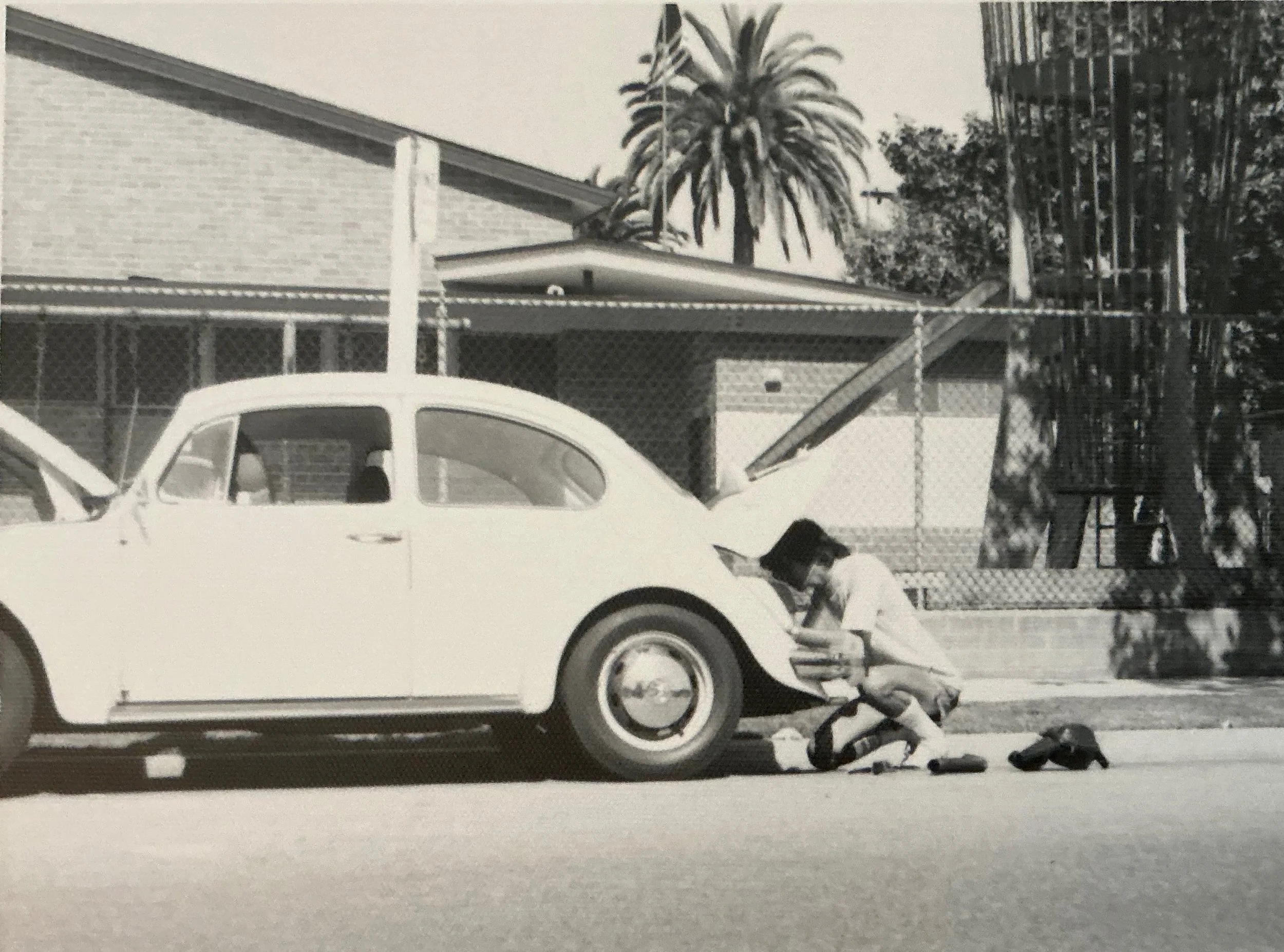 'Nerd Hustle: Or, Once Upon a Time in Sherman Oaks', by B. B. Schaikes 