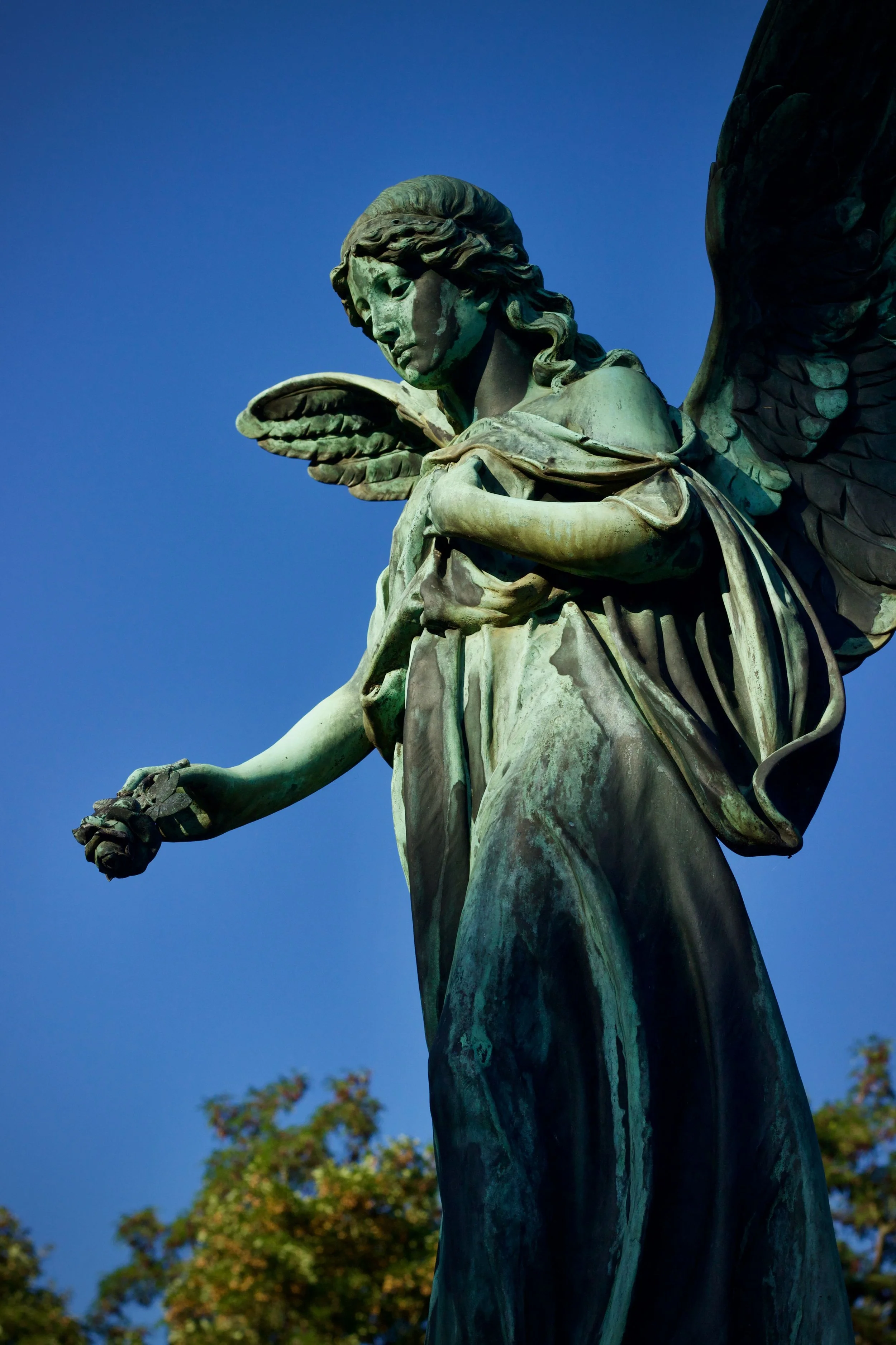 'There is Hope, But Not for Us:' A Review of "The Blue Cherub", by D.M. Rice