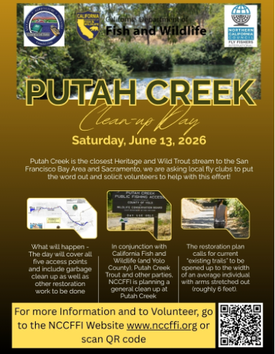 PCJune26CleanupFlyer.png