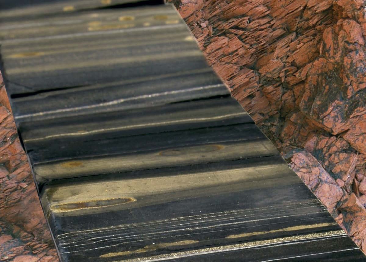 A ~2.63 billion-year-old black shale sample with layers of pyrite ("fools gold") from an Australian drill core. 