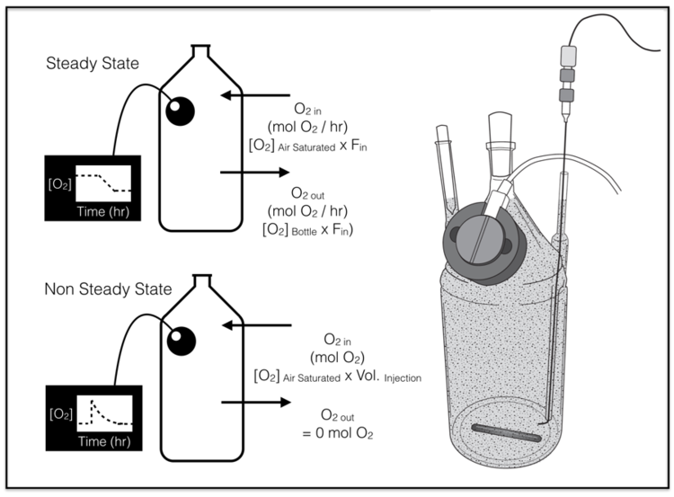 Experimental setup for Ph.D. student Aleisha Johnson's low-O2 pyrite oxidation experiments.