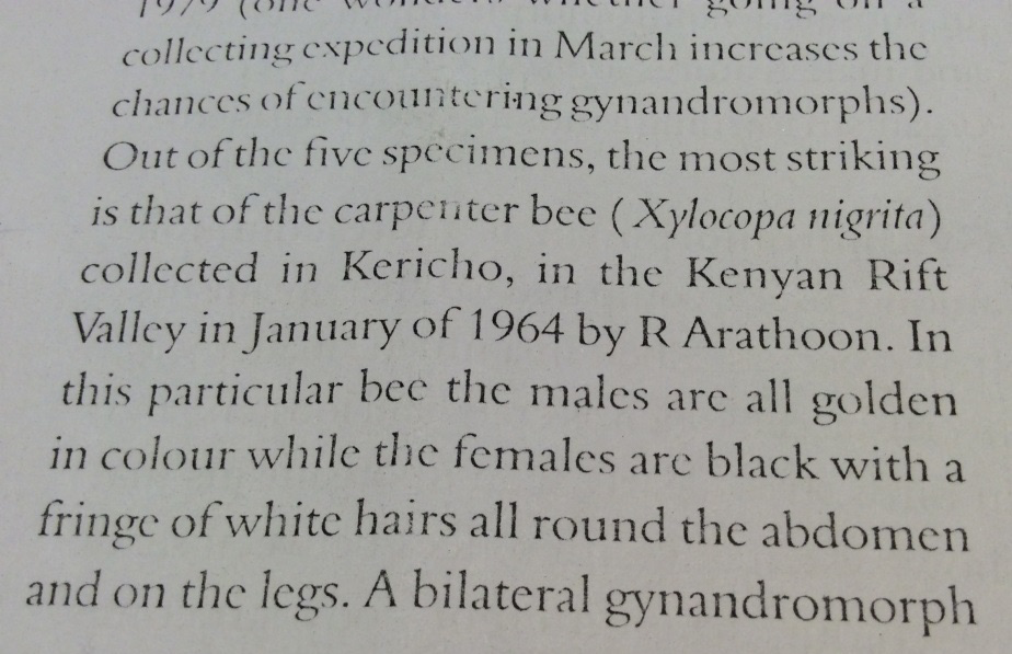 article_excerpt_-_Copy.png