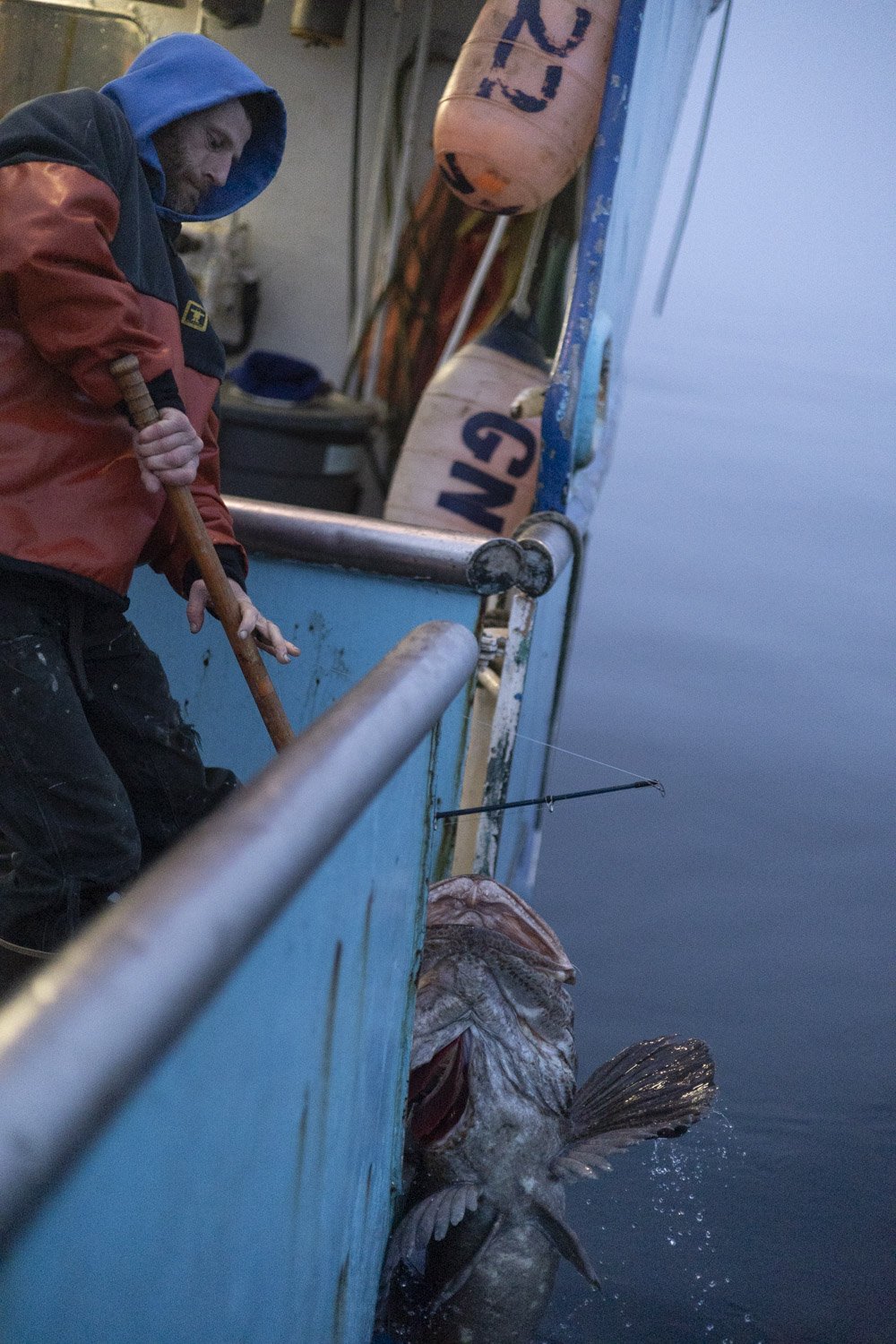  Duane Petersen hauls a lingcod aboard the Kathleen K off the coast of Alaska on May 31, 2022. The fish will feed the crew during their three months of work tending to the salmon fishing fleet. 