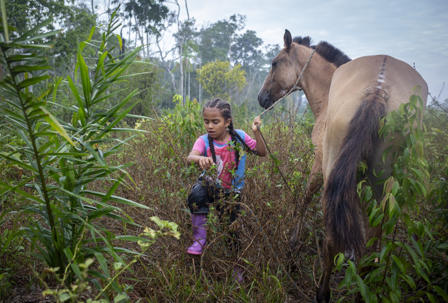  Seven-year-old Sofia Bedoya catches her mare in the early morning of March 2, 2023, from her family’s pasture land in the Guayabero region of Southwest Colombia. Since her community lacks navigable roads, Bedoya will ride the mare to the one-room sc