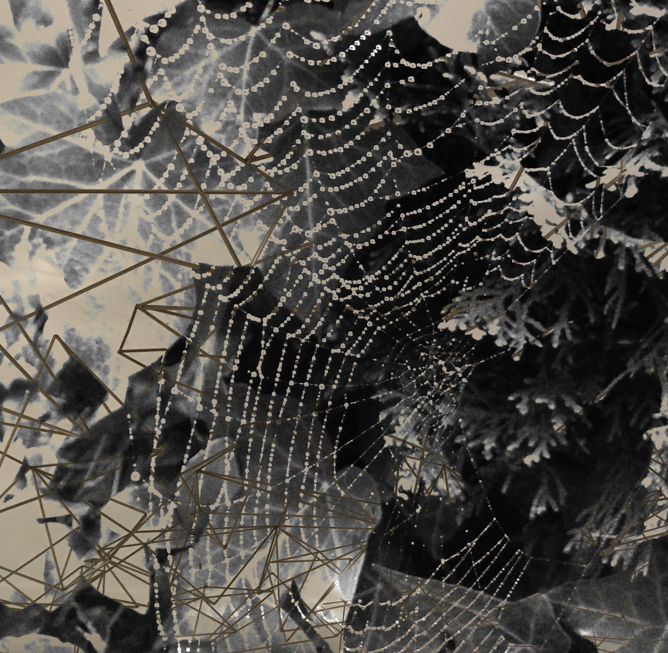 spider web and metal sculpture.jpg