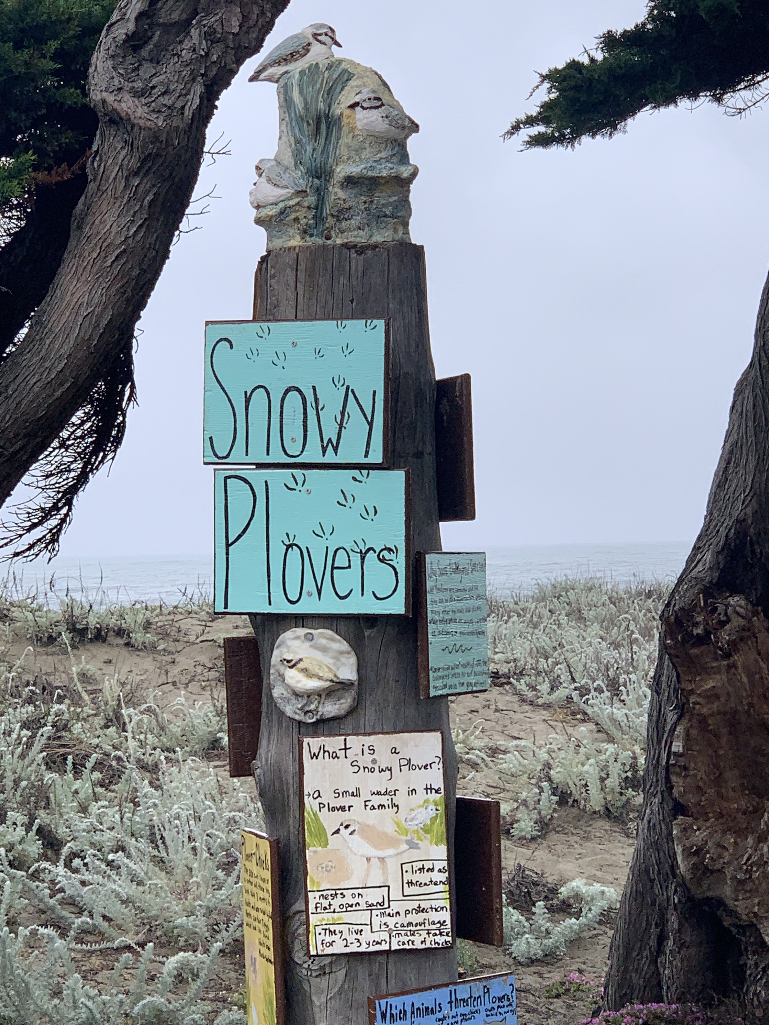 the Lindamar plover totem.JPG