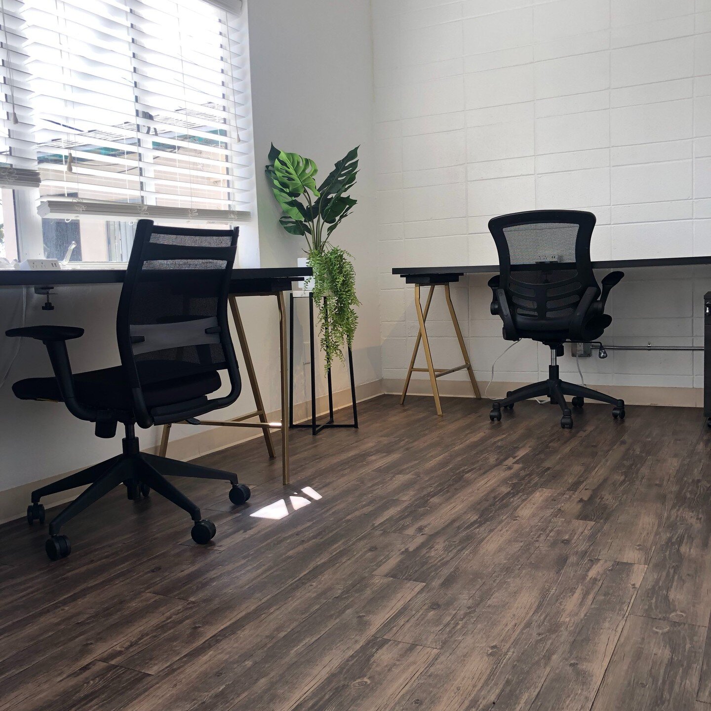 Available Now. A rare opportunity to get into a private office in the heart of North Park. 1-2 people, fully furnished, flexible terms, and amenities galore. Contact at https://www.hardihoodcowork.com/toursignup #coworking #cowork #coworkingspace #co