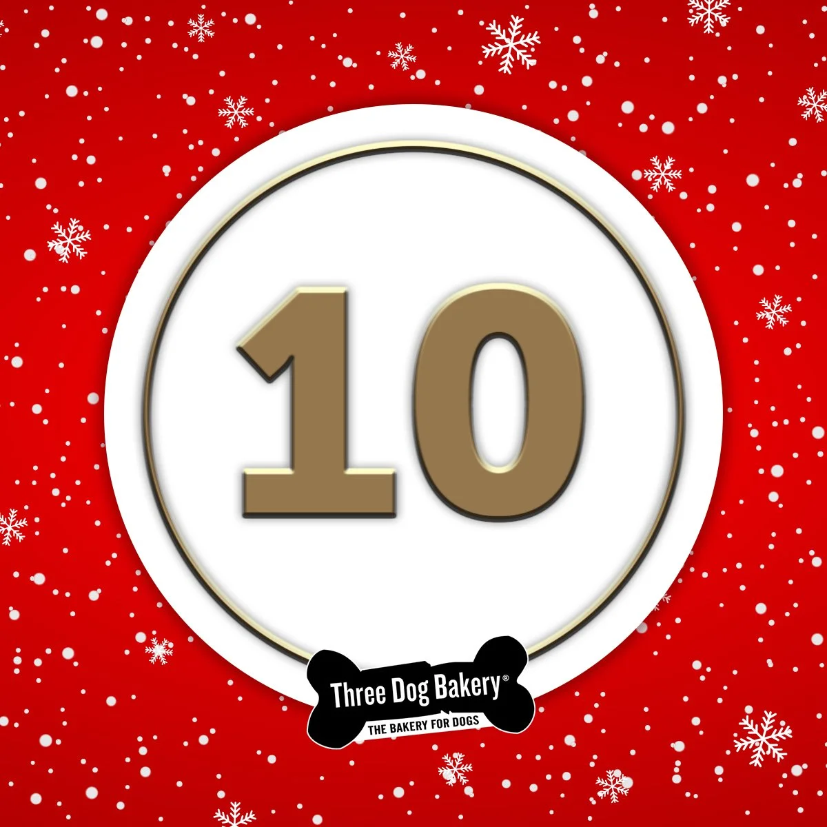 11.15.2022_10thDay.jpg