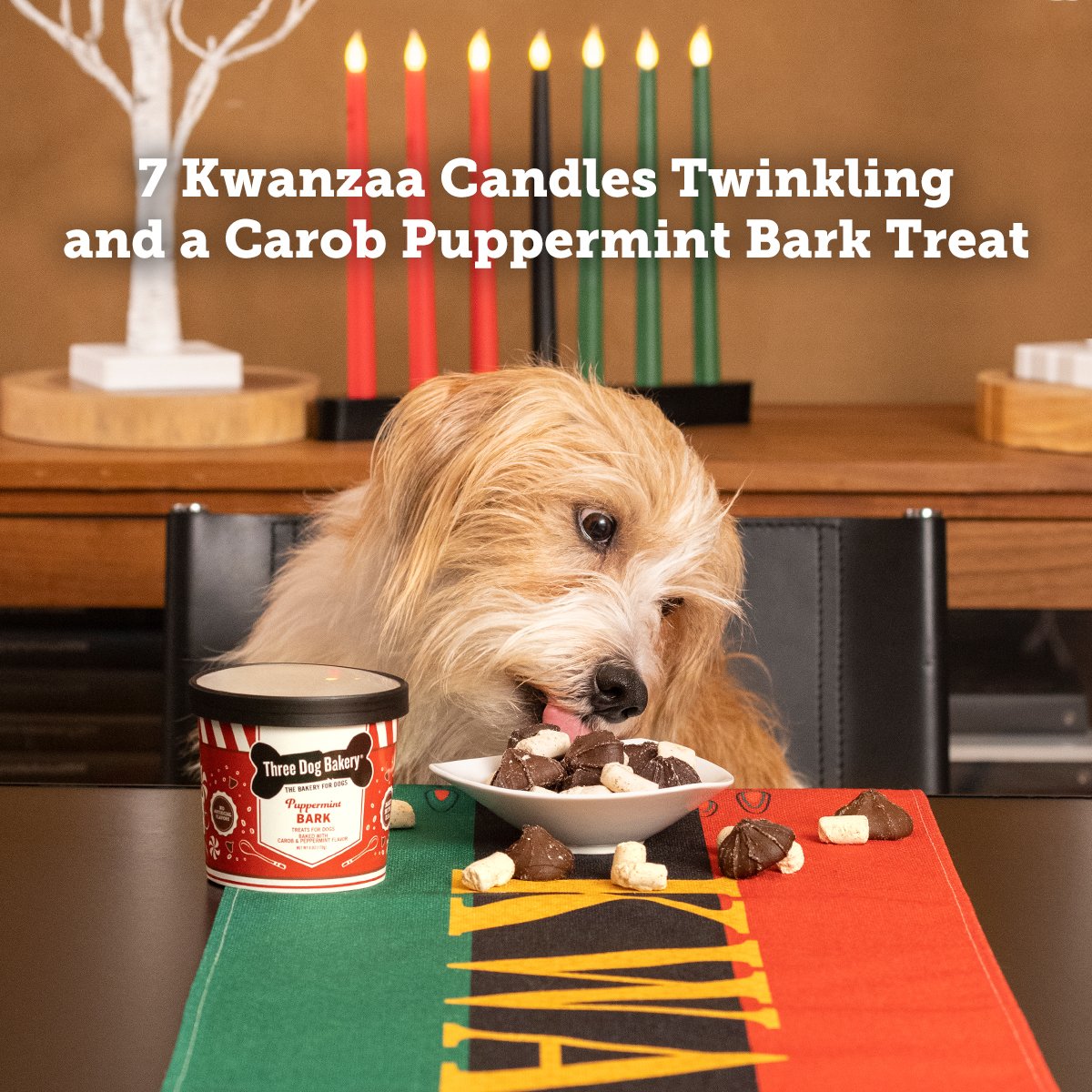 11.15.2022_7_KwanzaaCandles.jpg
