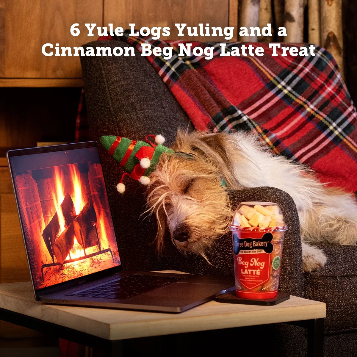 11.15.2022_6_YuleLogs.jpg