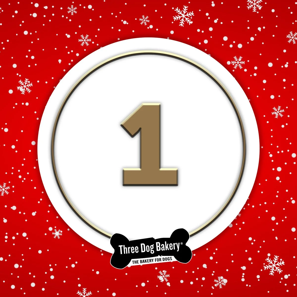 11.15.2022_1stDay_Number.jpg