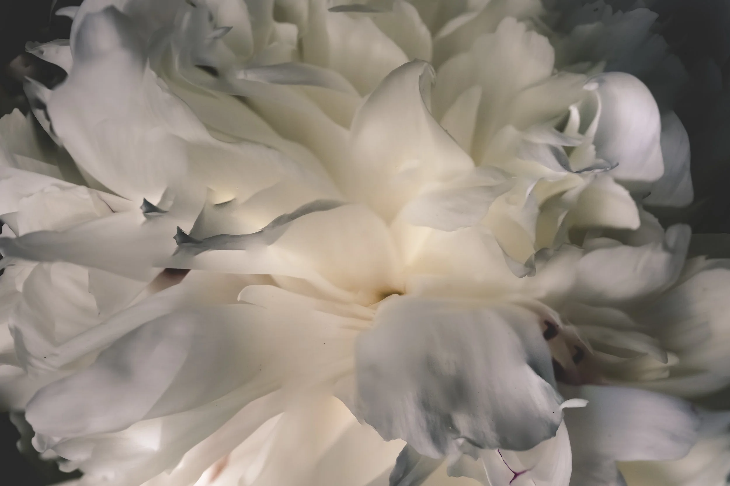 _MGL9092-Edit.jpg