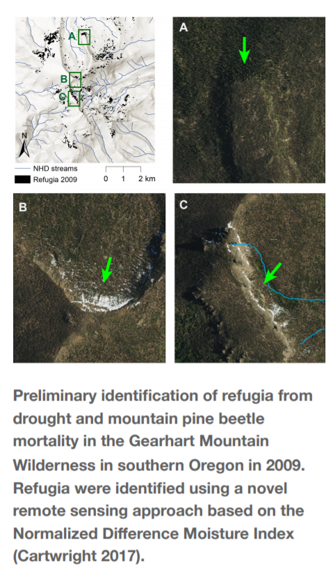 Preliminary identification of refugia from drought and mountain pine beetle mortality in the Gearhart Mountain Wilderness in southern Oregon in 2009. Refugia were identified using a novel remote sensing approach based on the Normalized Difference Moisture Index.