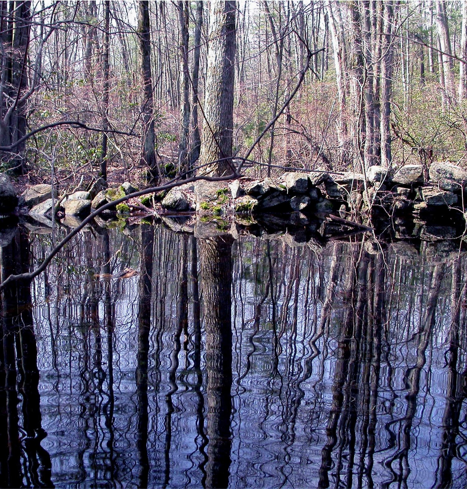 Climate Change Refugia