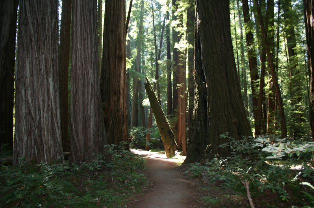 Meg Krawchuk featured in two recent articles