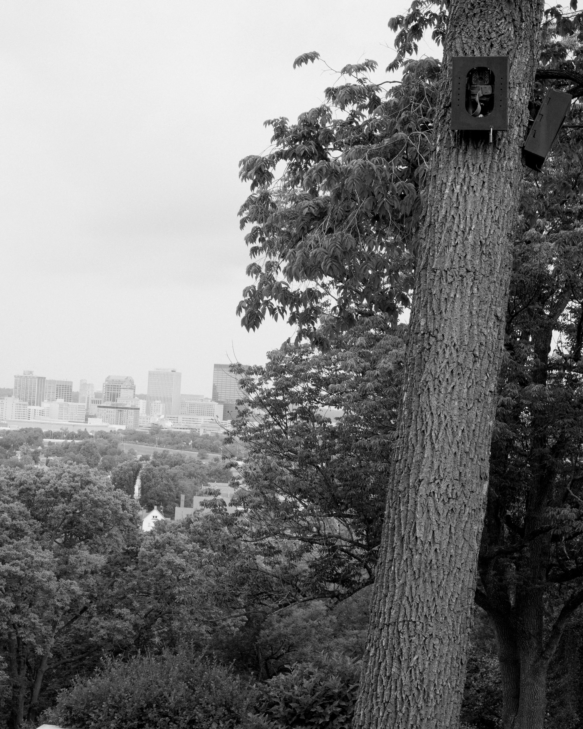 DSC_5187.jpg