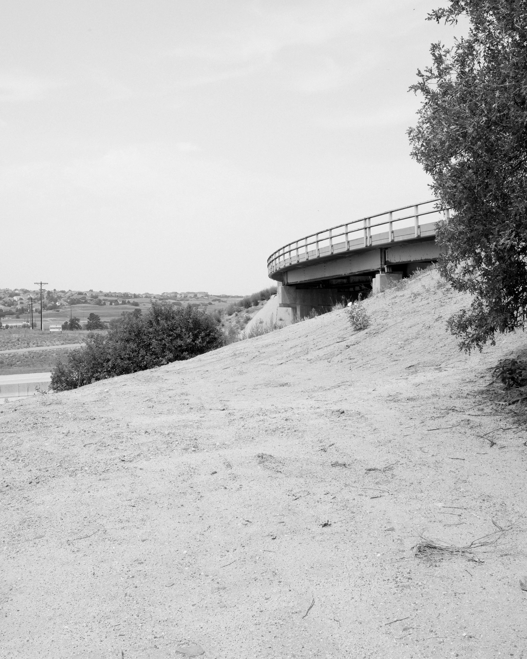 DSC_6050.jpg