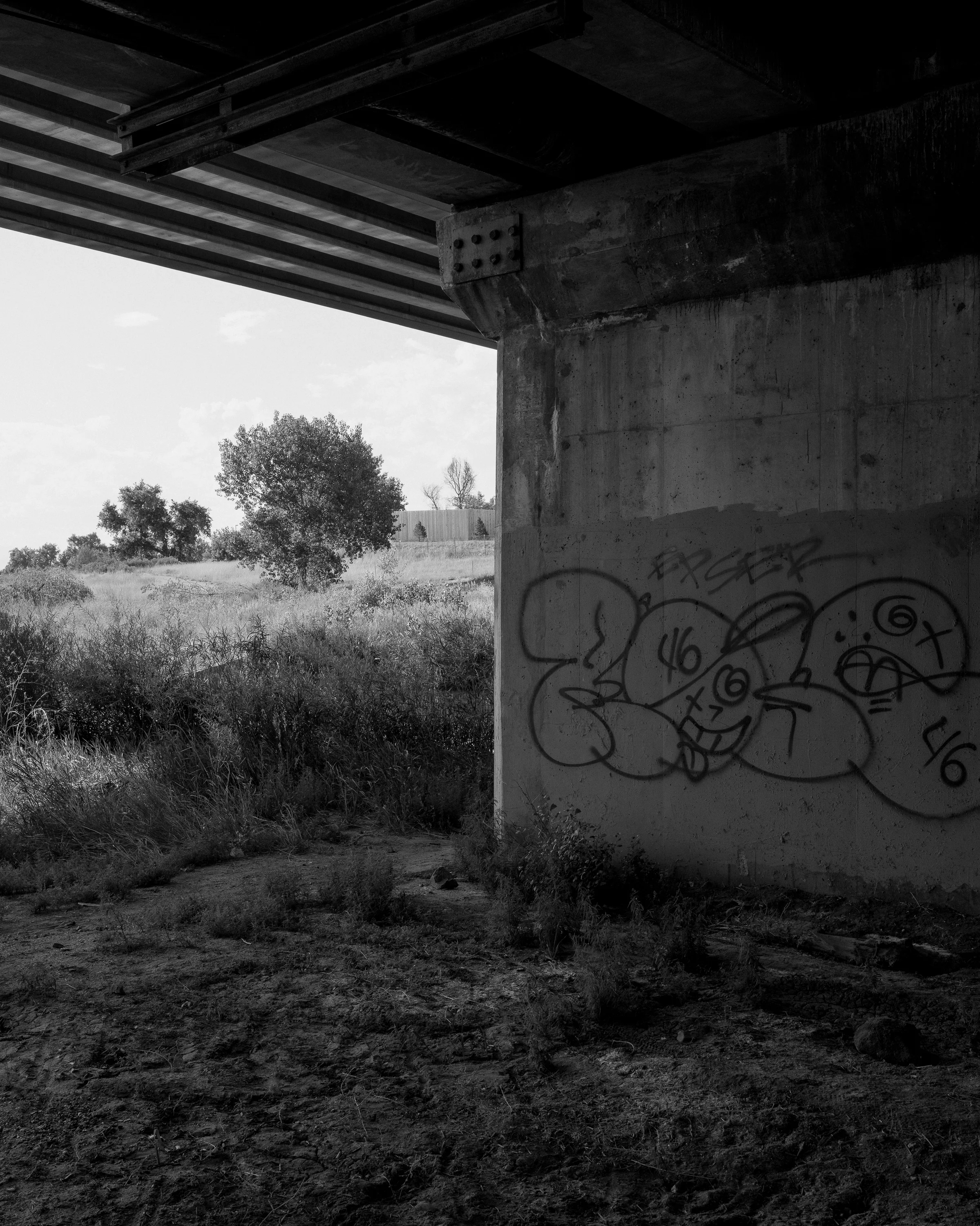 DSCF1954.jpg