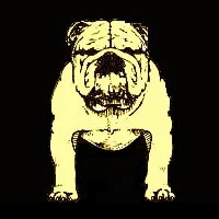 Conformation_Bulldog_11.jpg