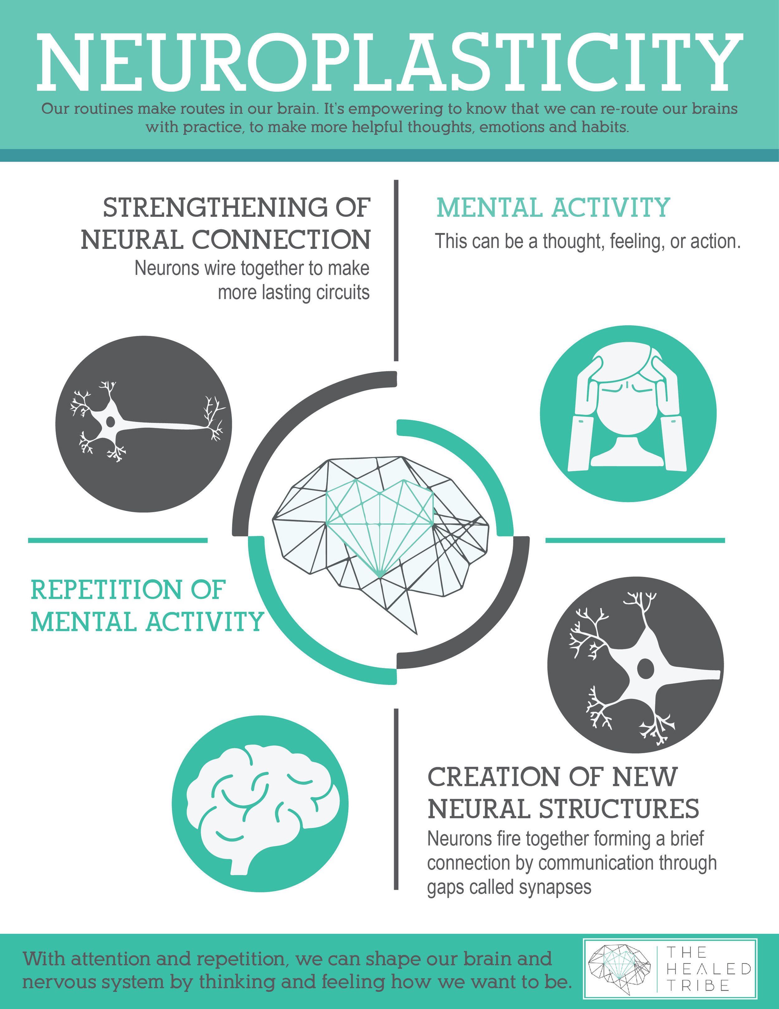 research topics on neuroplasticity