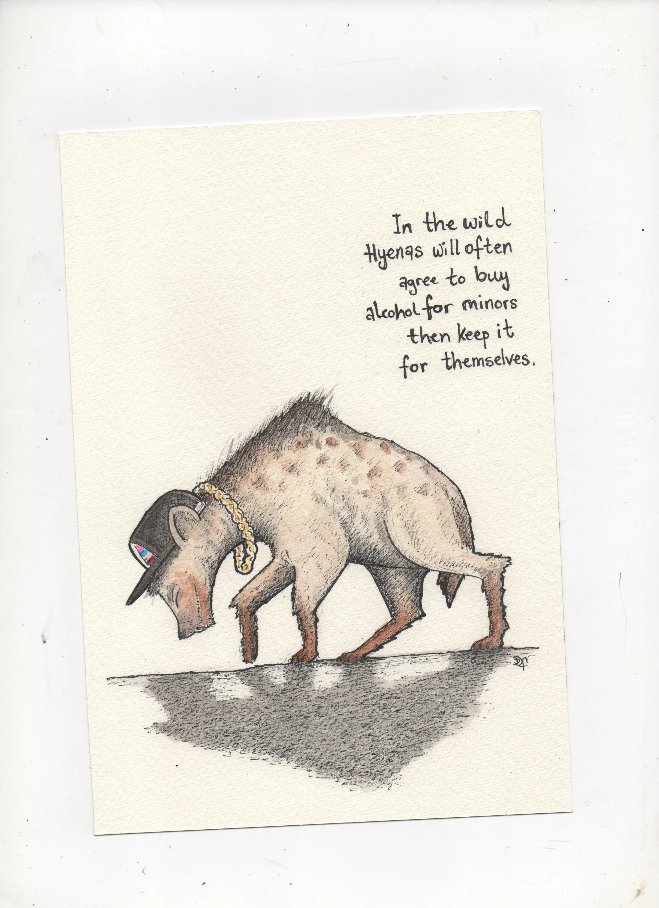 Immagine (58).jpg