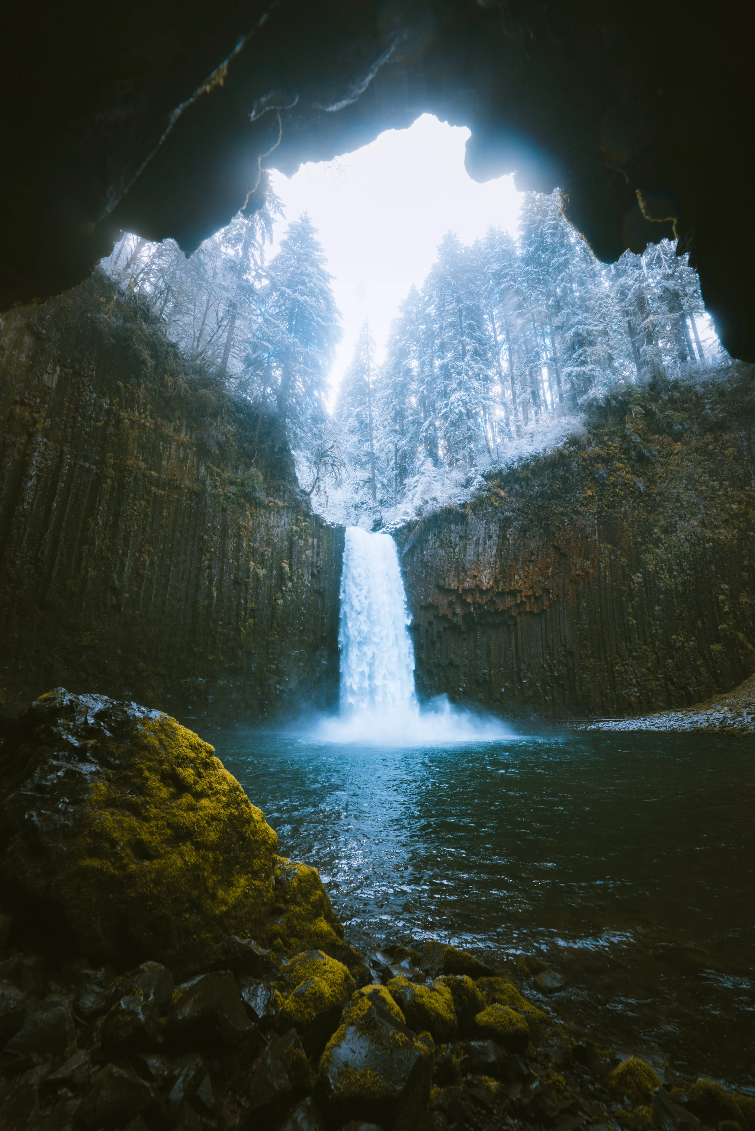 Abiqua-Website.jpg