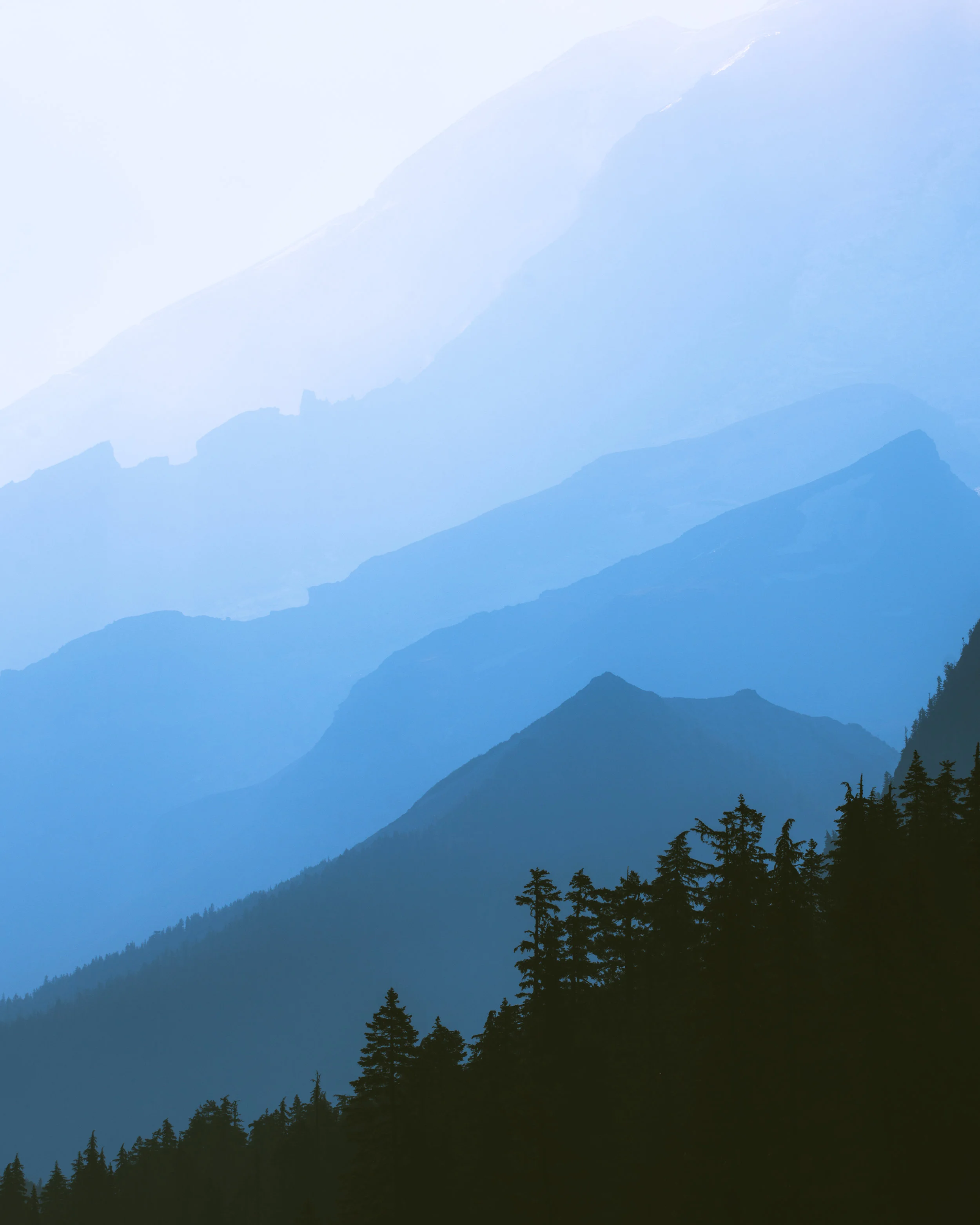WhiteRiver-Website.jpg