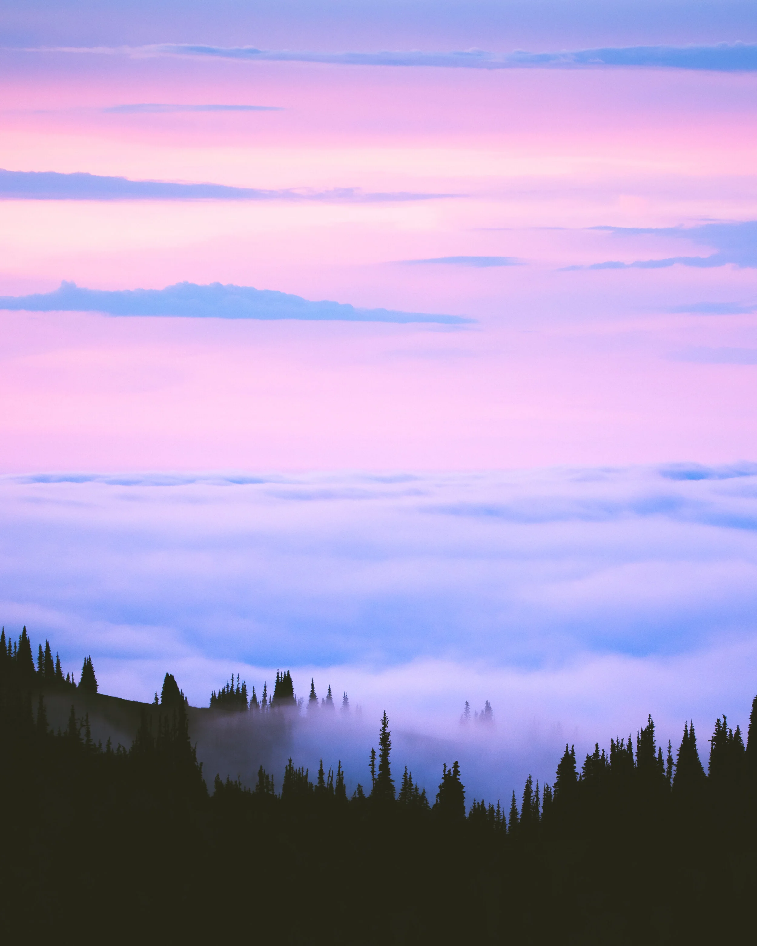 PrintDaydream.jpg
