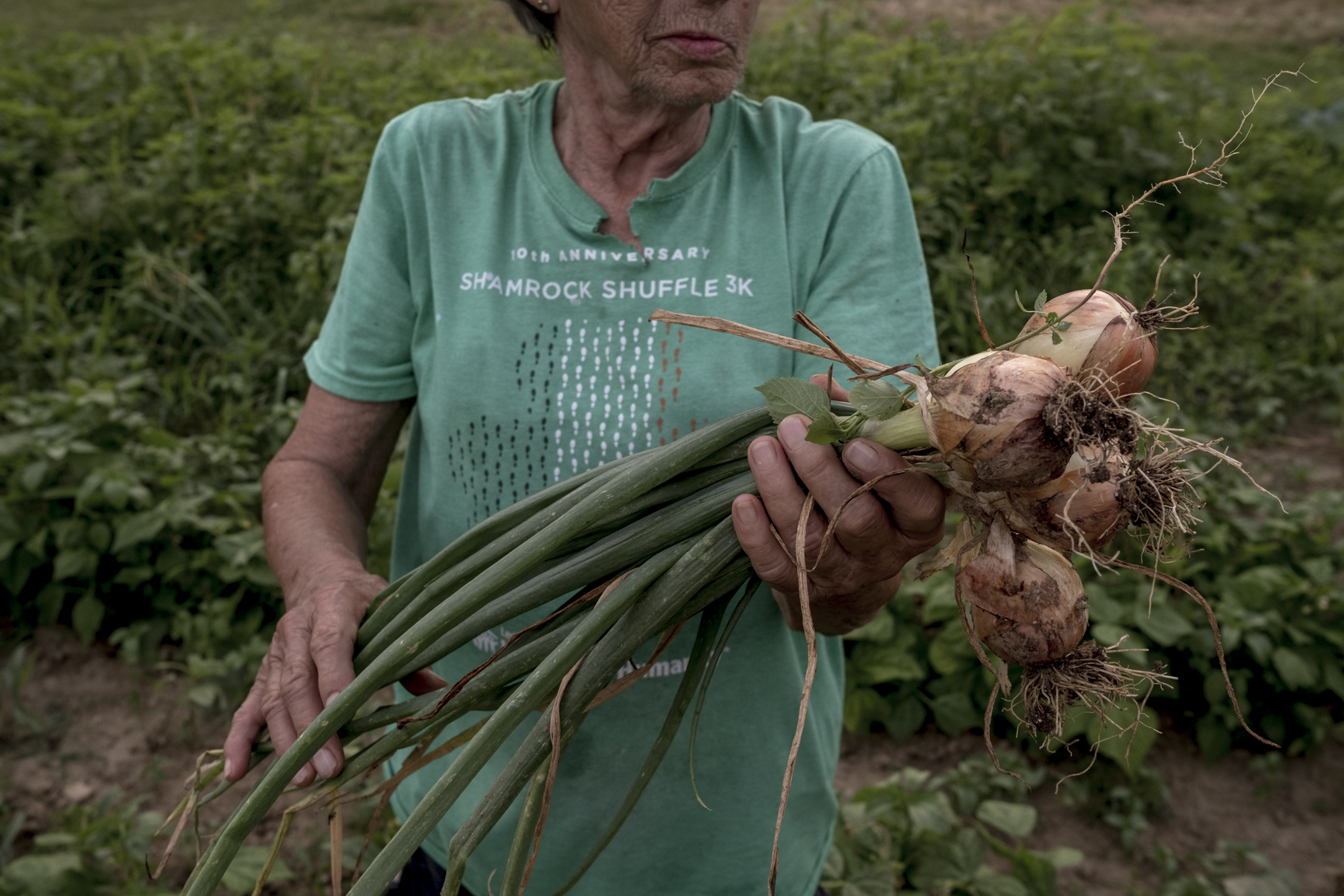 Mary holds up a fresh batch of onions that she had just picked from her garden at home just outside of Cynthiana, Kentucky.