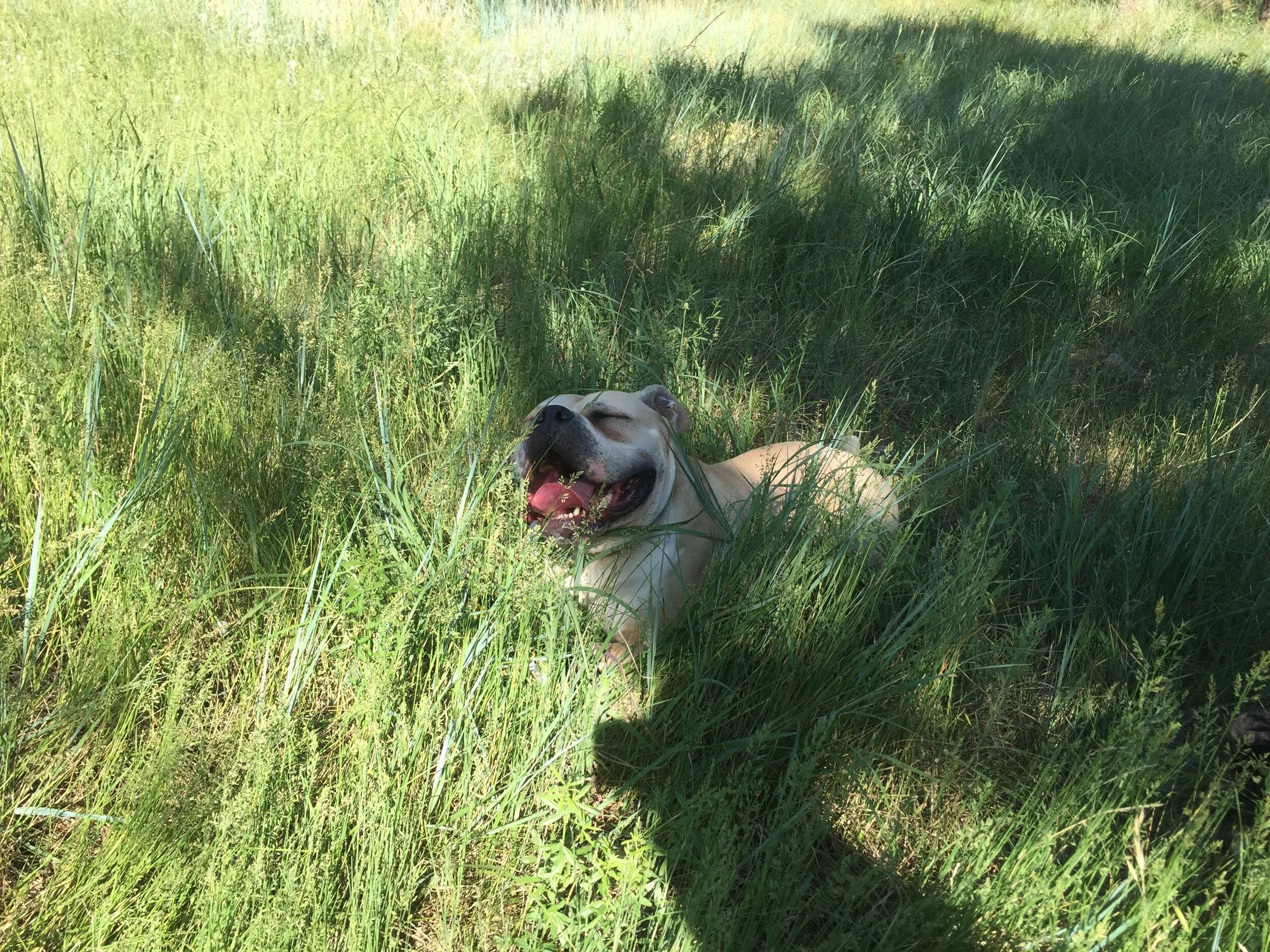 When Affordability Can Drain You Of&nbsp;Money