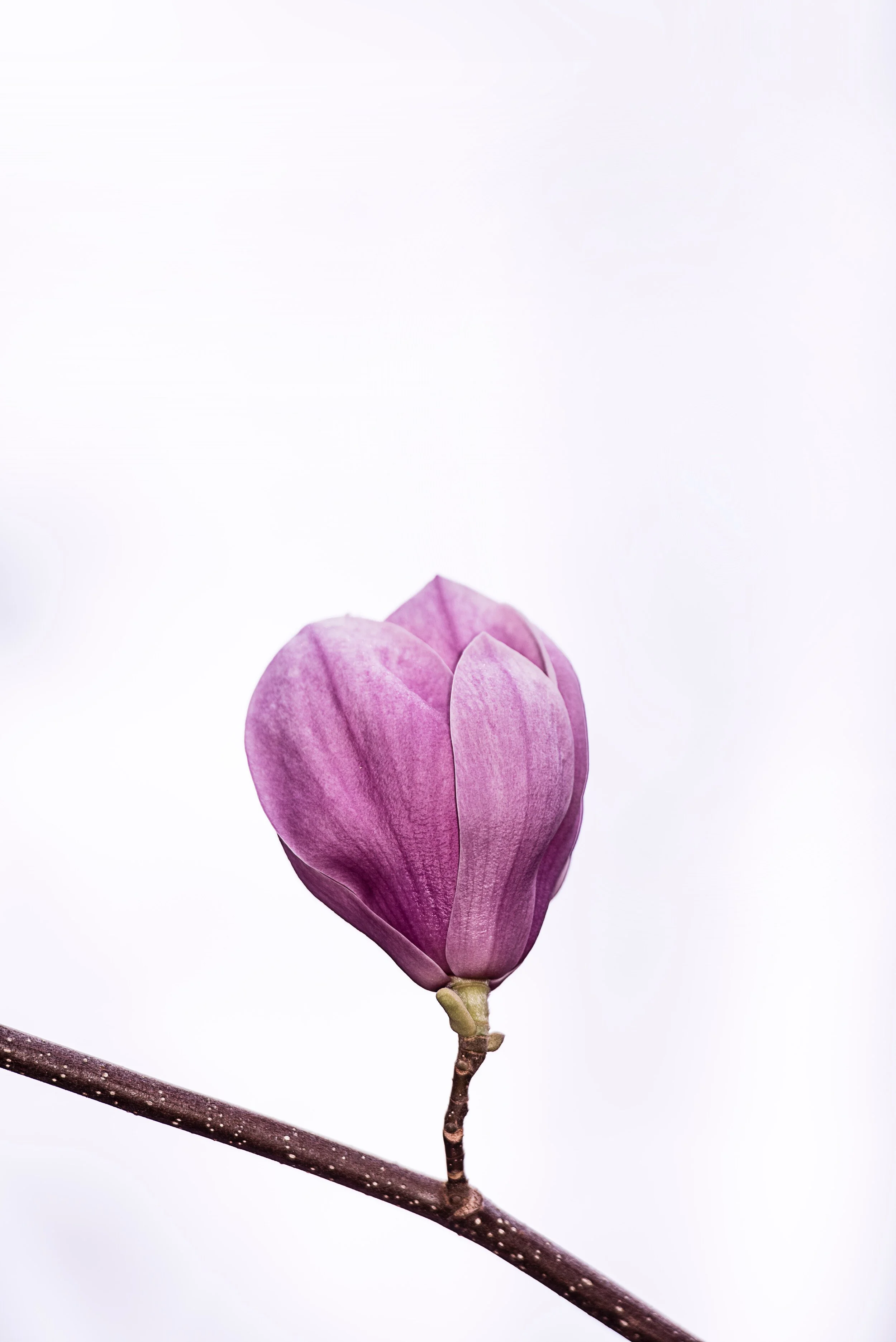 4 Subtle Signs You’re An Entrepreneur Who’s Growing