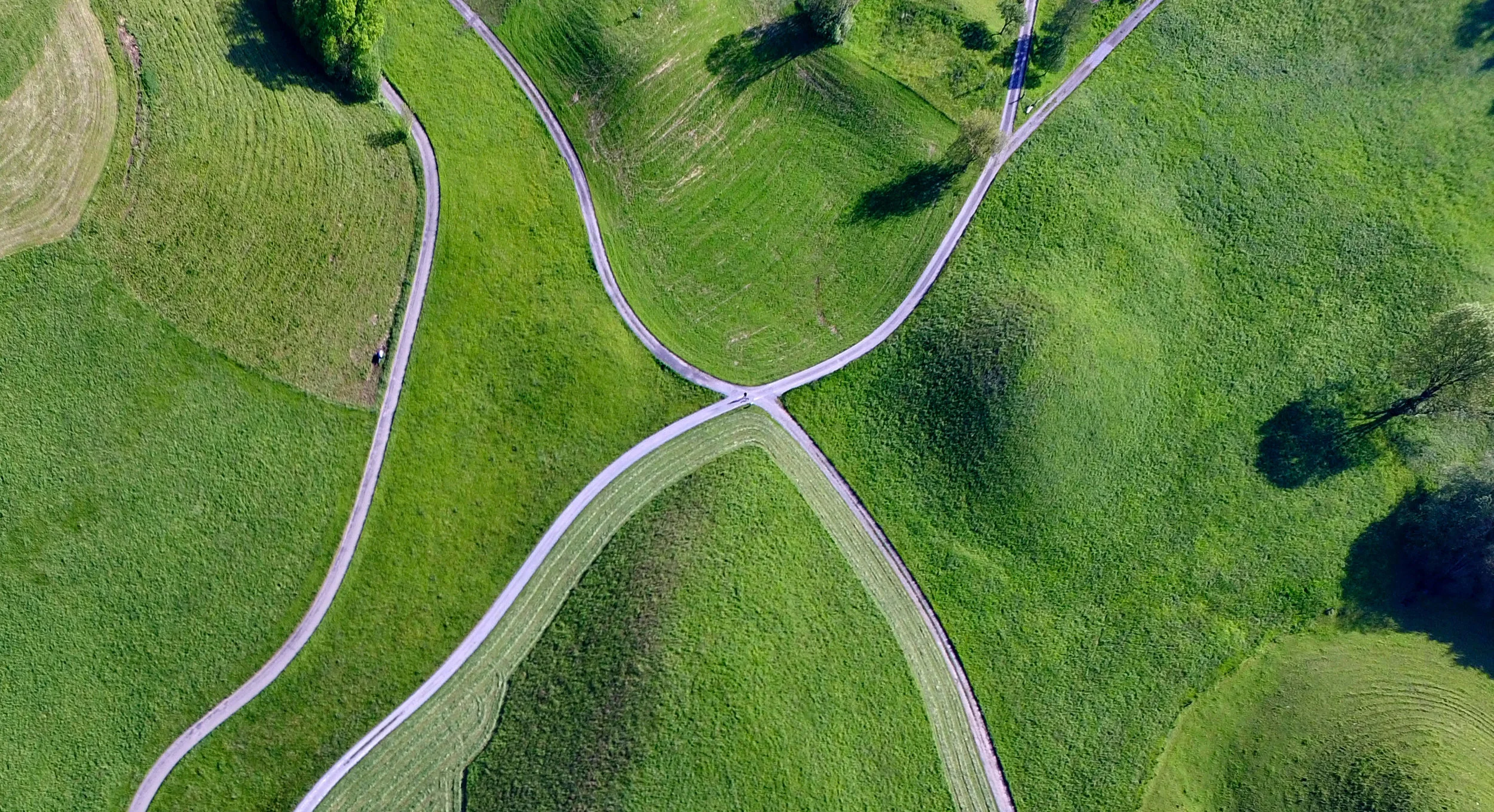 grassy intersection_short.jpg