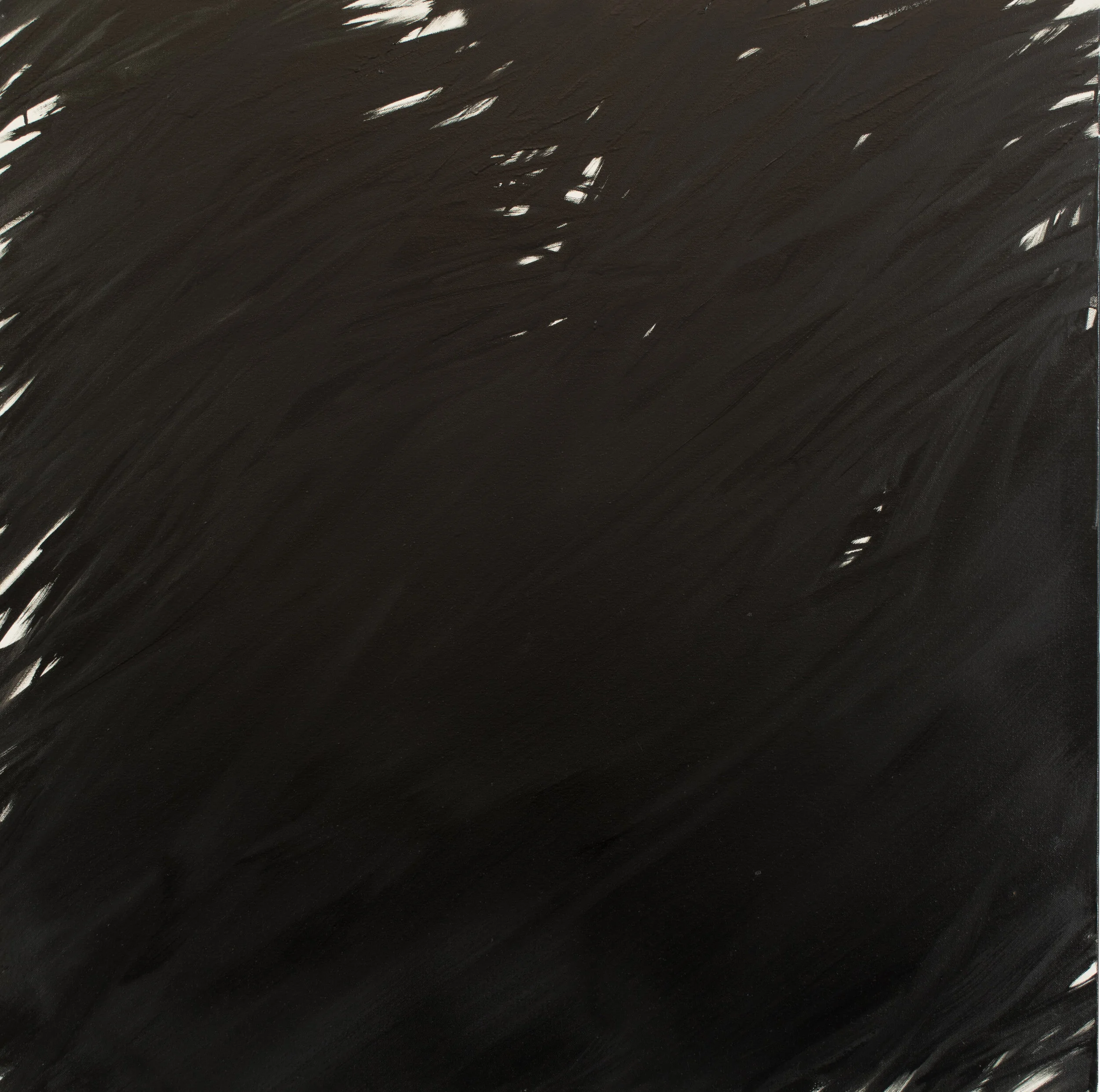 BannerUntitled #2(monocrome)_edited-1.jpg