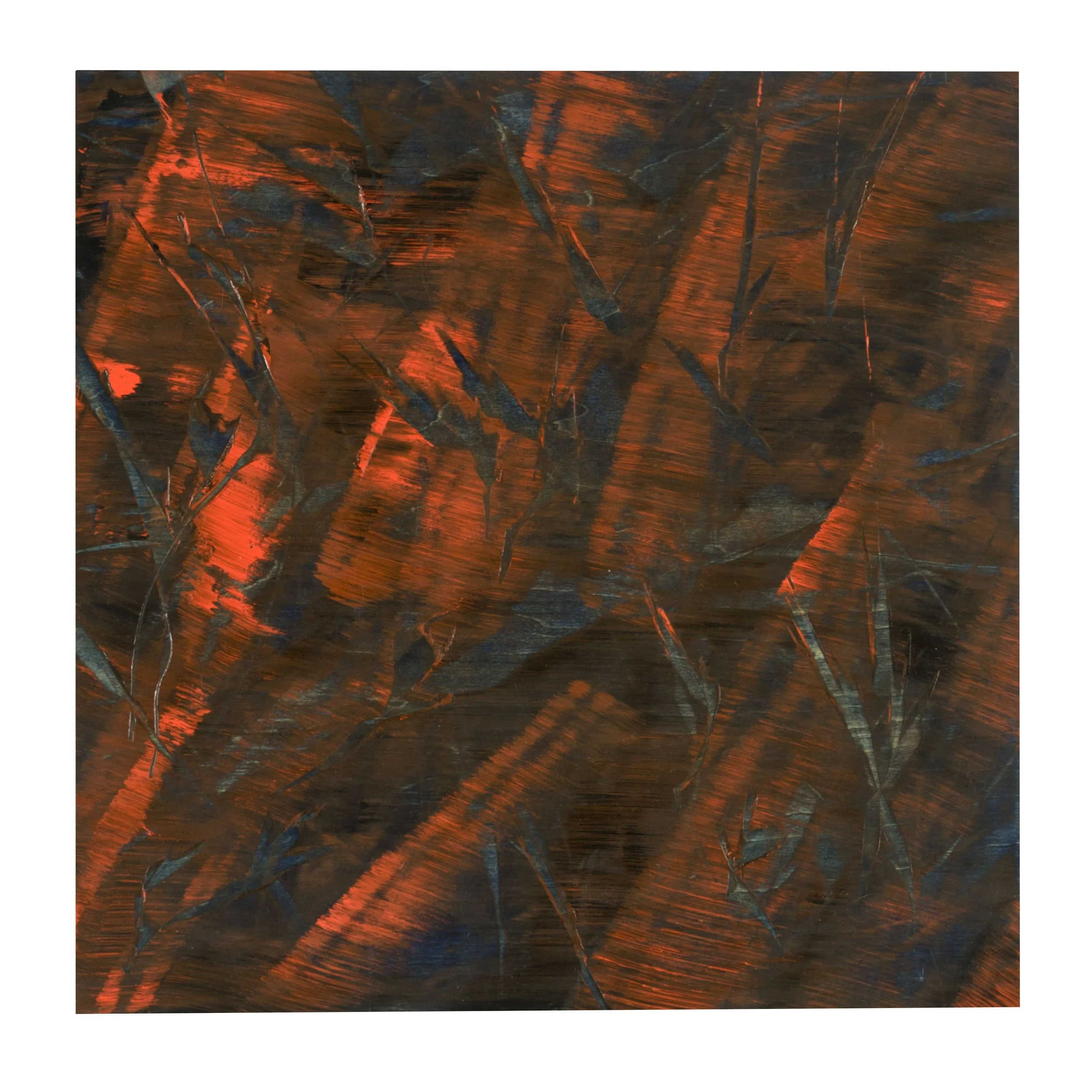 Summer's Wind copy.jpg