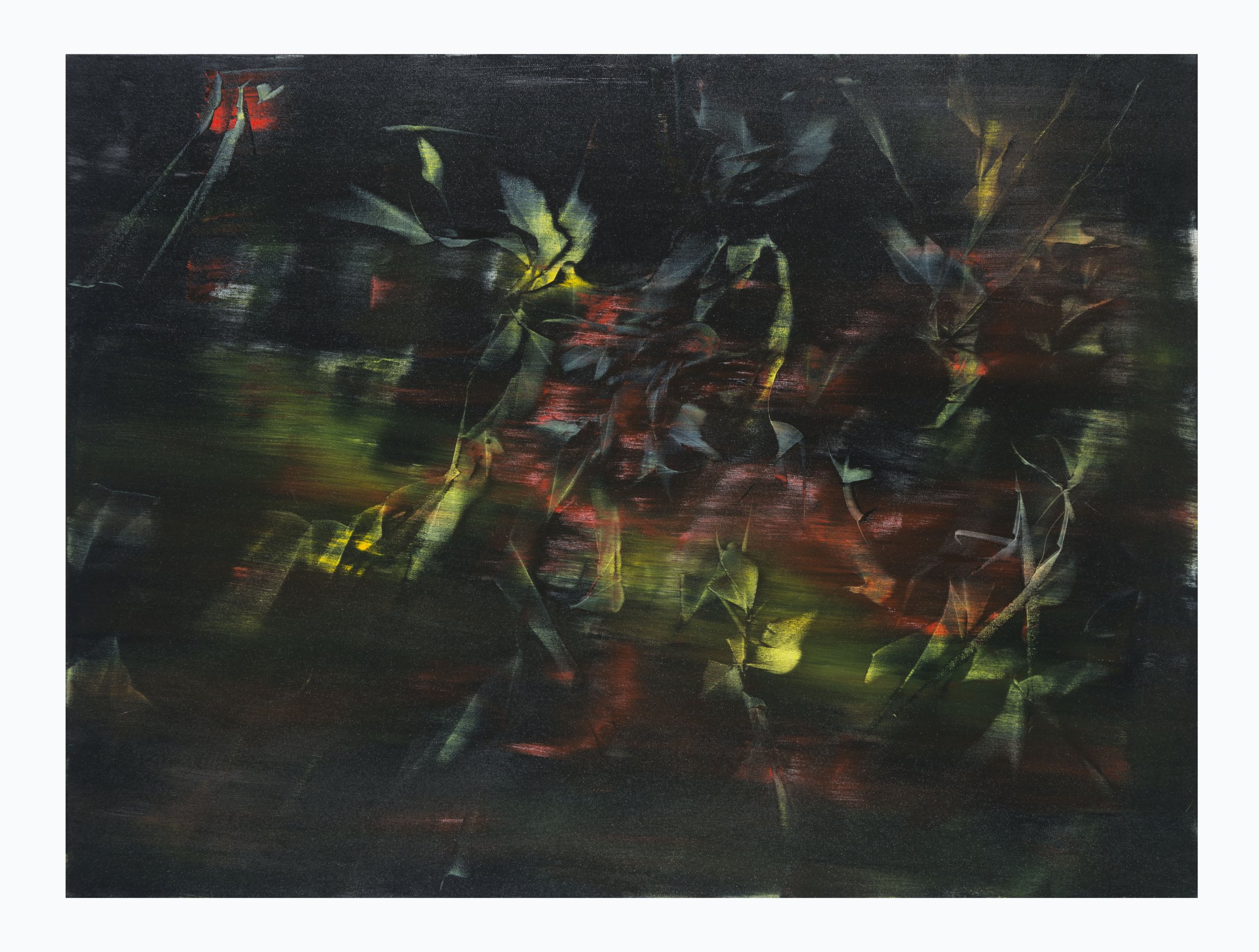 Nocturnal Flower , 36 x 48" oil on canvas