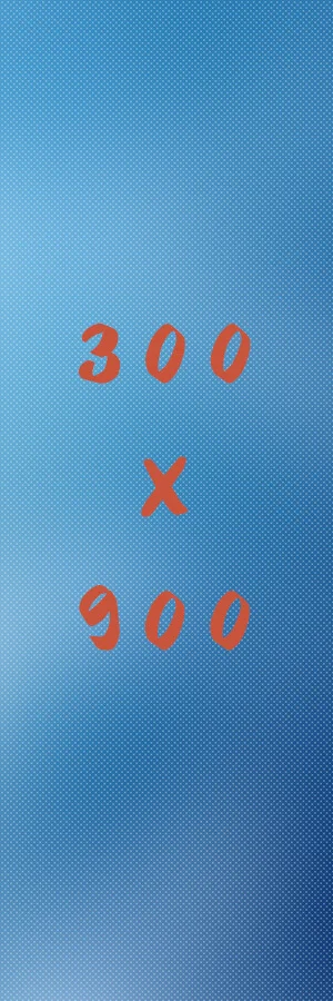 300x900.jpg
