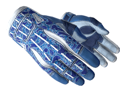 Sport Gloves Amphibious csgo skin