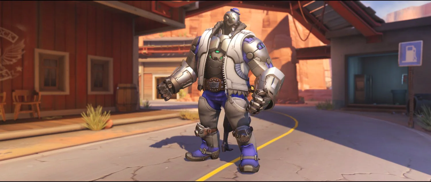 Tansy back rare skin Ashe Bob Overwatch.jpg
